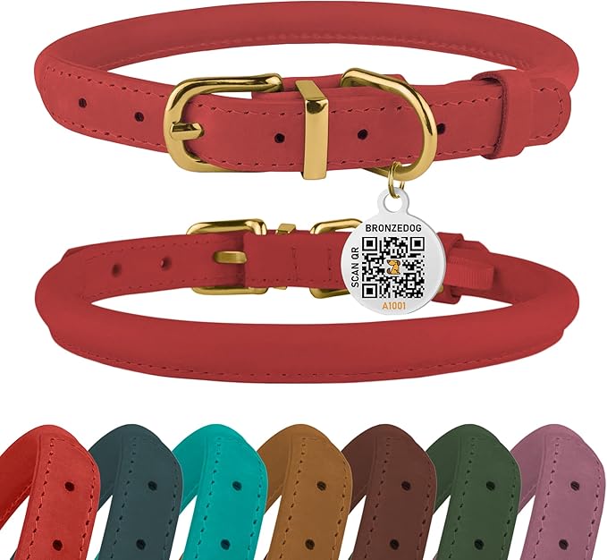 BronzeDog Rolled Leather Dog Collar with QR ID Tag, Adjustable Soft Round Collars for Small Medium Large Dogs Puppy (14" - 16" Neck Size, Coral Pink)