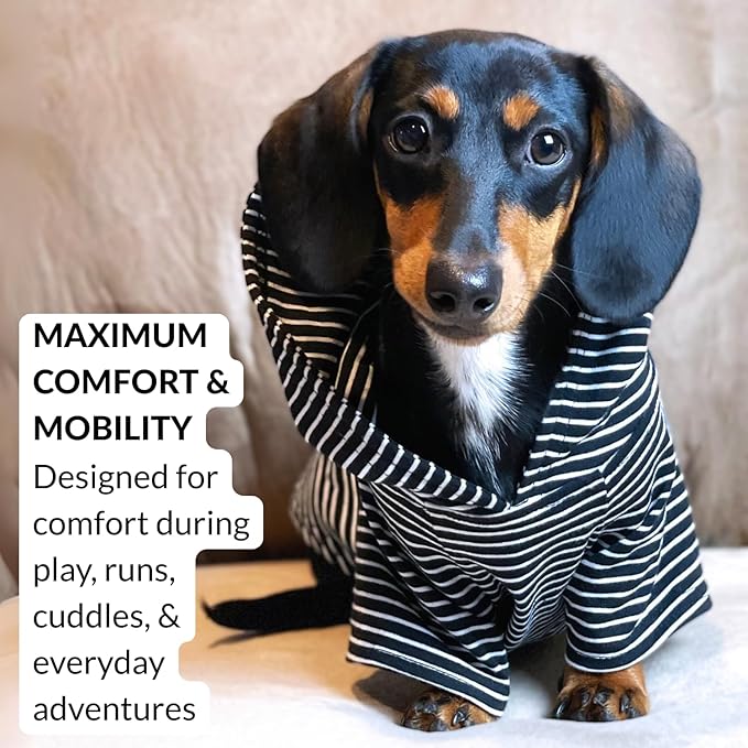 DJANGO Dog Hoodie – Warm, Lightweight, Soft & Stretchy Dog Sweater with Hood, Harness Hole & Elastic Waistband – Cozy Sweatshirt for Small Dogs up to 25 lbs, Dachshunds & Puppies – Black, Small