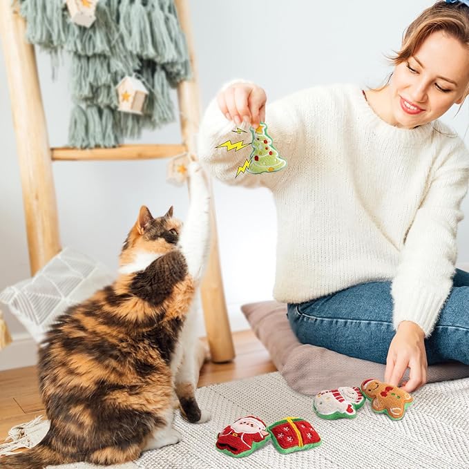 Retro Shaw 5Pcs Christmas Catnip Toys, Crinkle Sound Cat Toys for Indoor Kittens Kitty, Fun Cat Gift Interactive Cat Nip Kicker Teeth Cleaning Pet Toy for All Breeds