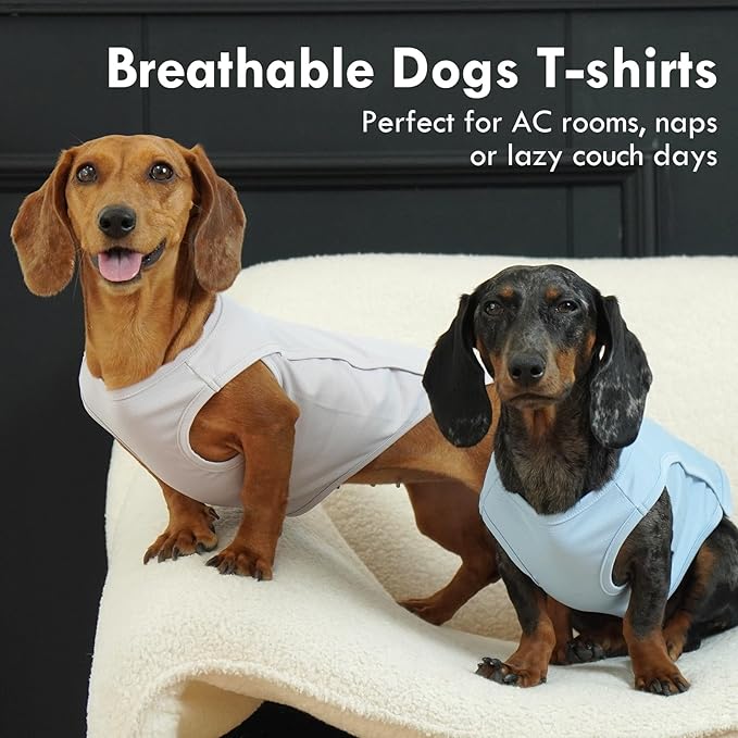 2 Pack Dog Shirt Quick Dry, Sun Protection UPF50+ Summer Cooling Vest, Soft Lightweight Tshirts for Medium Dogs Allergy Wound Care, Blue+Grey, M