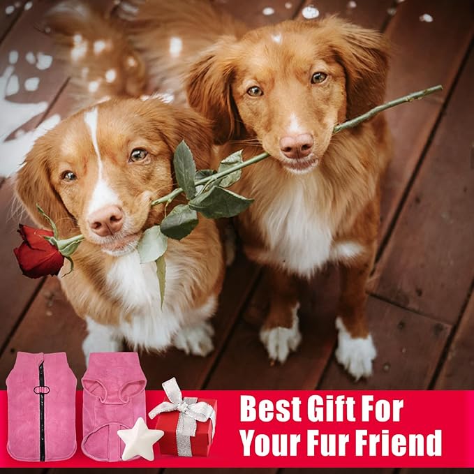 Idepet Dog Fleece Vest Sweater Zip Up Warm Pullover Dogs Jacket with D-Ring Leash Winter Cold Weater Coat Pet Sweatershirt Clothes Hoodie for Small Medium Dogs Boy Girl (Rose Red, S)