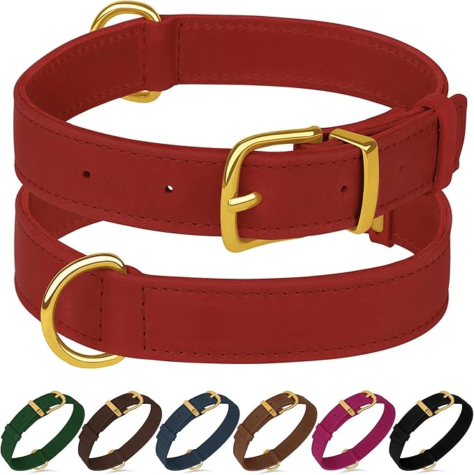 Leather Dog Collar - Heavy Duty Adjustable Soft Padded Pet Collars for Small Medium Large Dogs Breed - Black Green Brown Pink Red Blue (Red, S, 9"-12" Neck Fit)