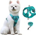 SOLMOONY Small Dog Harness,Soft Mesh Puppy Harness and Leash Set,No Escape Cat Harnesses for Training Walking,Reflective Adjustable Puppy Vest for Small Medium Dogs, Cats (Turquoise, XL)