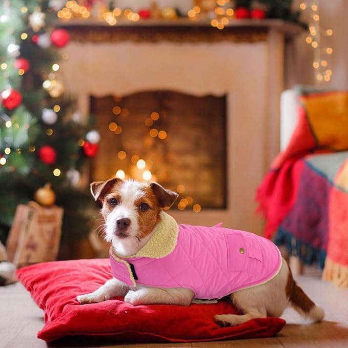 Large Dog Coat - Warm & Windproof Winter Jacket for Extra-Large Dogs - Pink, Golden Retriever to Husky Sizes