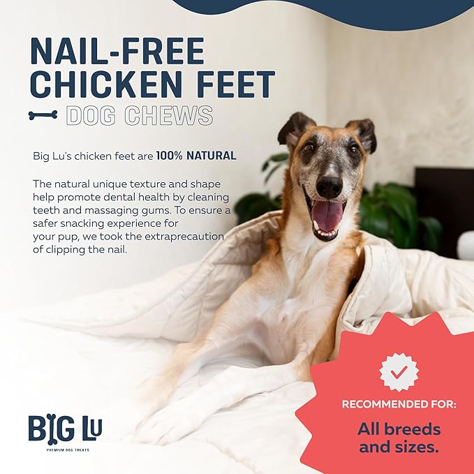 Big Lu – Nail-Free Chicken Feet Dog Chews, 100% Natural Single-Ingredient Treats, Rawhide-Free, Long-Lasting, Rich in Glucosamine and Chondroitin for Joint Health (100 Count)