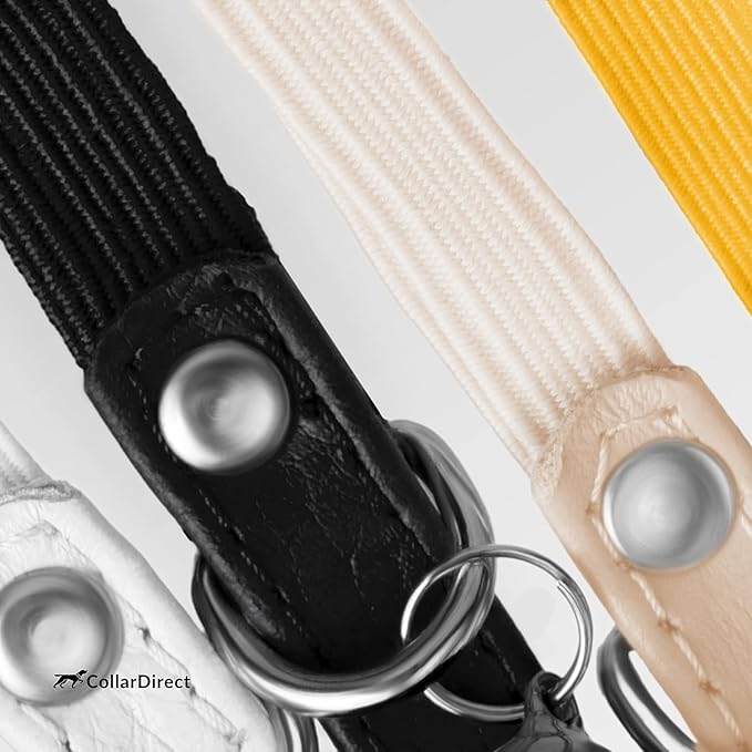 CollarDirect Leather Cat Collar, Cat Safety Collar with Elastic Strap, Kitten Collar with Bell Black Blue Red Orange Lime Green (8-11 Inch, Mint Green)