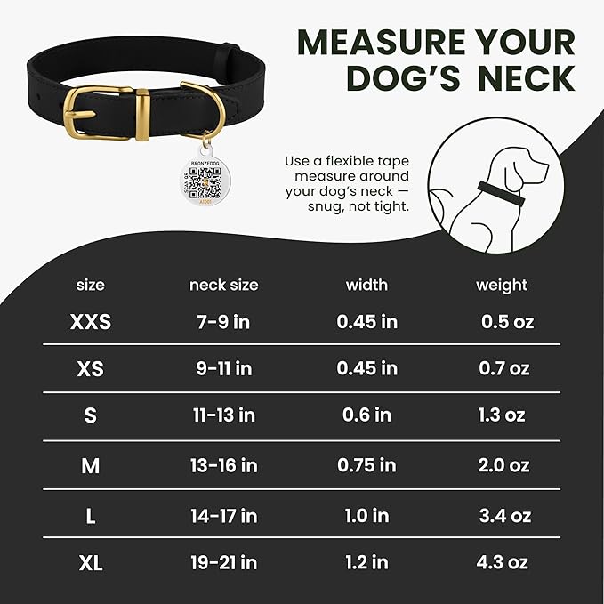 BRONZEDOG Leather Dog Collar with Metal Buckle Durable Basic Pet Collars for Small Medium Large Dogs (13-16 Inch (Pack of 1), Black & Gold Buckle)