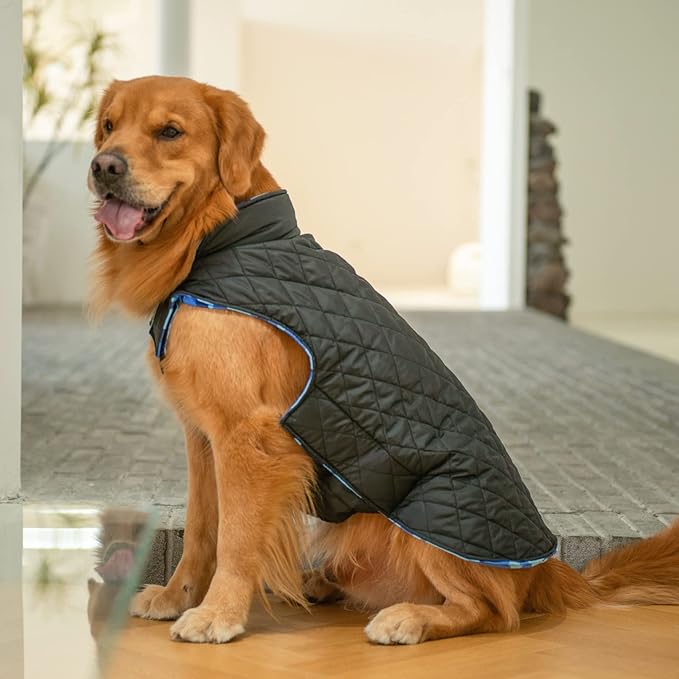Bone Cute Winter Dog Jacket with Windproof & Waterproof Coat - Reversible Dog Vest in Small, Medium, Large - Thick Soft Coat with Leash Hole for Cold Weather