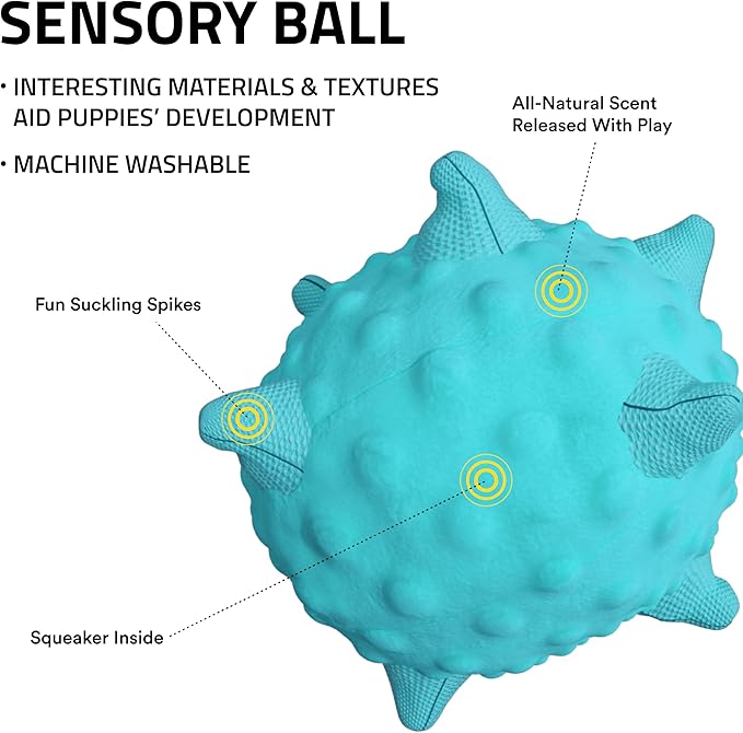 Playology Dog Toys | Puppy Toy Plush Sensory Ball for Dogs and Puppies for Dogs and Puppies | Jumbo Peanut Butter Scented Toy - Easy to Clean and Made from Non Toxic Materials