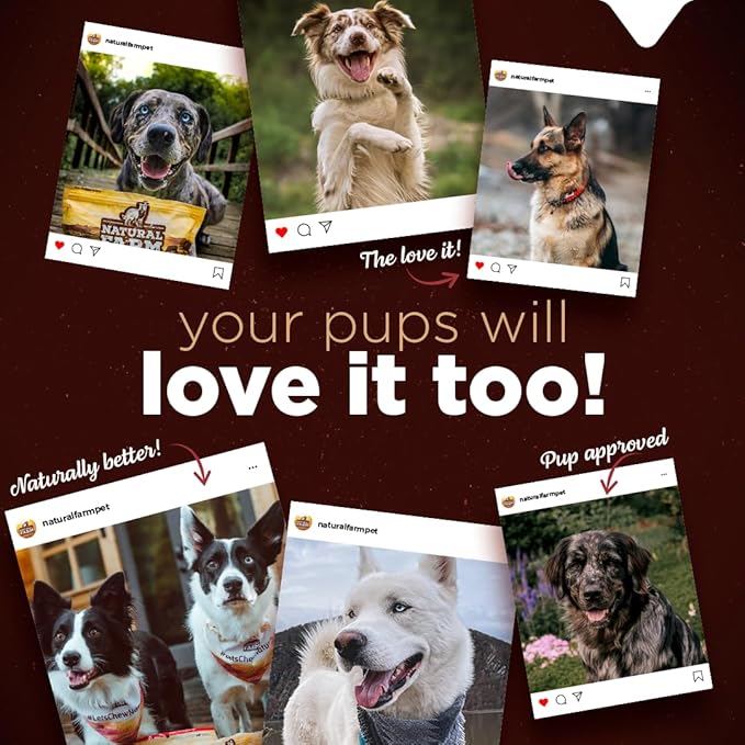 Natural Farm Bully Cheek Stick, 10-12 Inch (6-Pack)- Best Bully Stick Alternative, 100% Natural Beef Cheeks for Dogs- High Protein, Cleans Teeth Treats, Long Lasting Beef Chews for All Dog Sizes