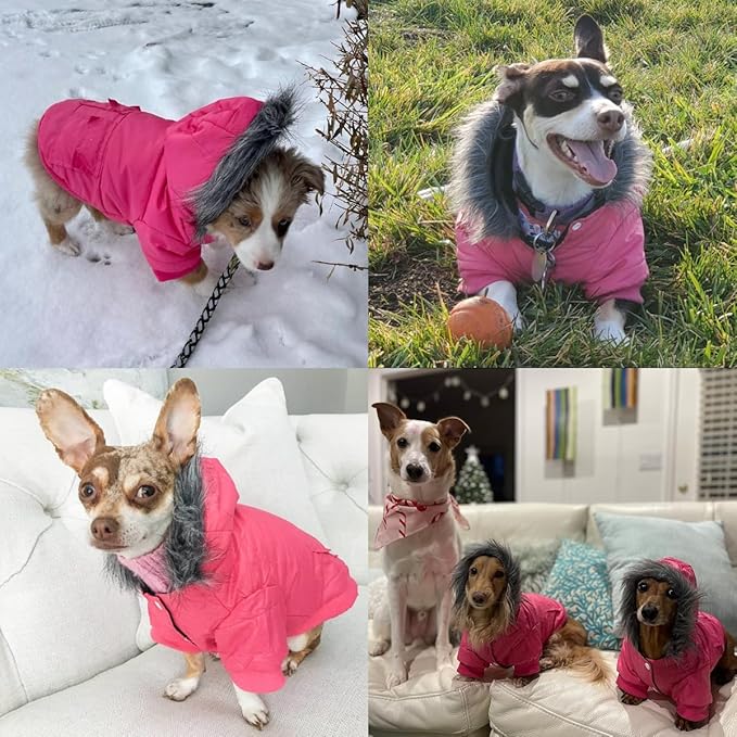LESYPET Dog Coat for Small Dogs, Windproof Doggie Puffer Jacket with Leash Hole, Extra Warm Dog Jacket Winter Coat, Grey XXL