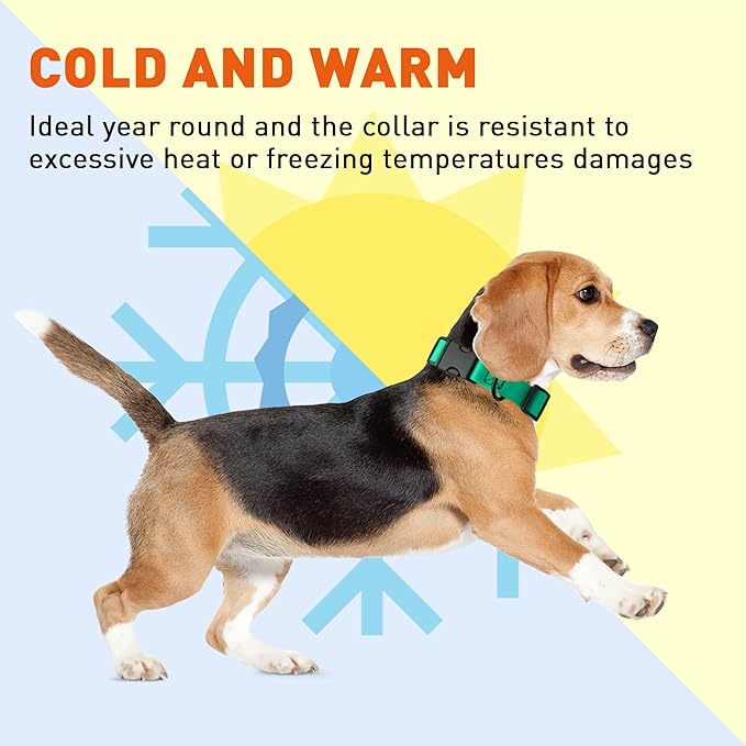 Dogline Biothane Waterproof Dog Collar with Quick Release Buckle Strong Coated Nylon Webbing with Odor- Proof for Easy Care Easy to Clean Fits Small Medium or Large Dogs, Teal 3/4" W 12-19" L