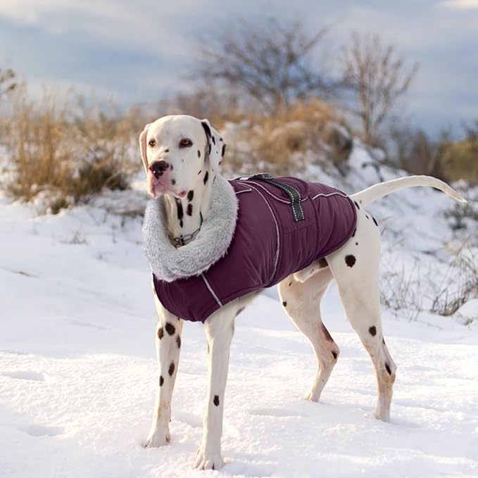 Lelepet Warm Dog Coat Waterproof Dog Jacket for Large Dogs Reflective Fleece Vest with Adjustable Buckle Hook & Loop Windproof Cold Weather Coats for Small Medium Large Dogs, Dark Purple, XXL