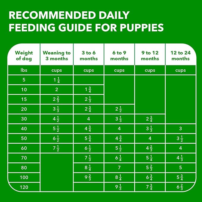 IAMS Proactive Health Large Breed Puppy Food with Real Chicken, 15 lb. Bag