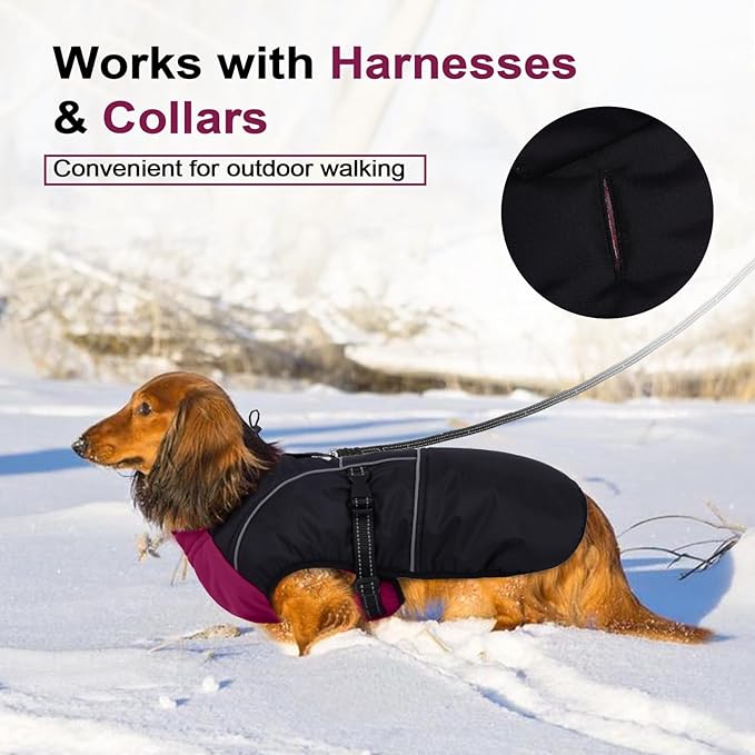 Lelepet Dachshund Coat Warm Dog Winter Coat Waterproof Dog Jacket with Fleece Lining, Reflective Outdoor Dachshund Snowsuit with Leash Hole Adjustable Neckline,Coats for Small Medium Dogs,Purple, S