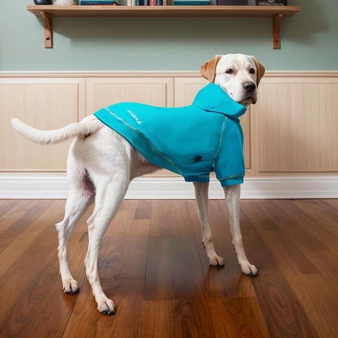 Basic Dog Hoodie Sweatshirts, Pet Clothes Hoodies Sweater with Hat and Leash Hole, Soft Cotton Outfit Coat for Small Medium Large Dogs, Royal Blue (XX-Large)
