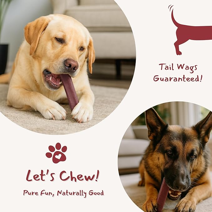 Majestic Pet Himalayan All-Natural Yak Cheese Dog Chews Made with 100% Cows Milk- Long Lasting Dental Chew for Dogs - Healthy Pet Treats (Urinary Tract Wellness, Regular, 1 Pack)