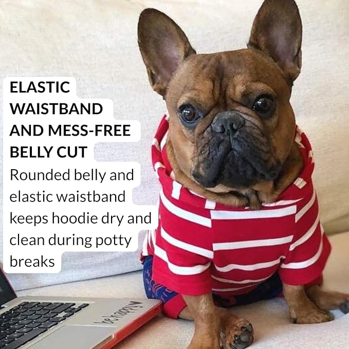 DJANGO Dog Hoodie – Warm, Lightweight, Soft & Stretchy Dog Sweater with Hood, Harness Hole & Elastic Waistband – Cozy Sweatshirt for Small Dogs up to 25 lbs, Dachshunds & Puppies – Crimson Red, Small