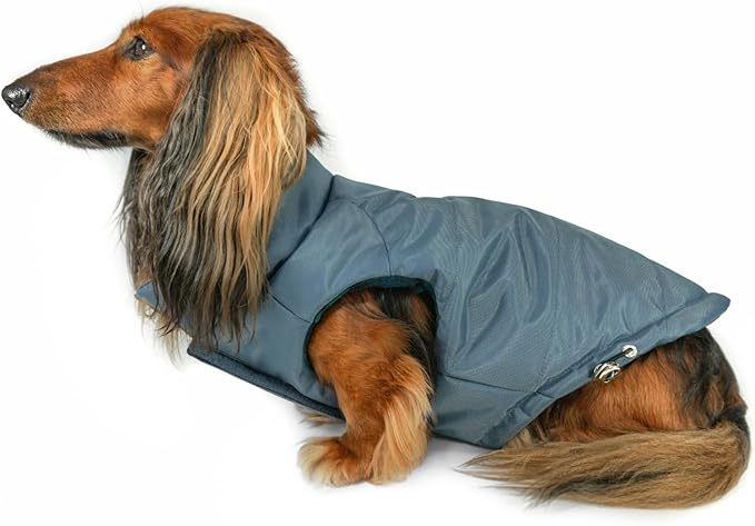 DJANGO Reversible Puffer Dog Coat – Warm Winter Dog Jacket & Water-Repellent Insulated Dog Coat w/Harness Hole, Windproof, Adjustable Fit for Small & Medium Dogs, Dachshunds – Twilight Blue, Small