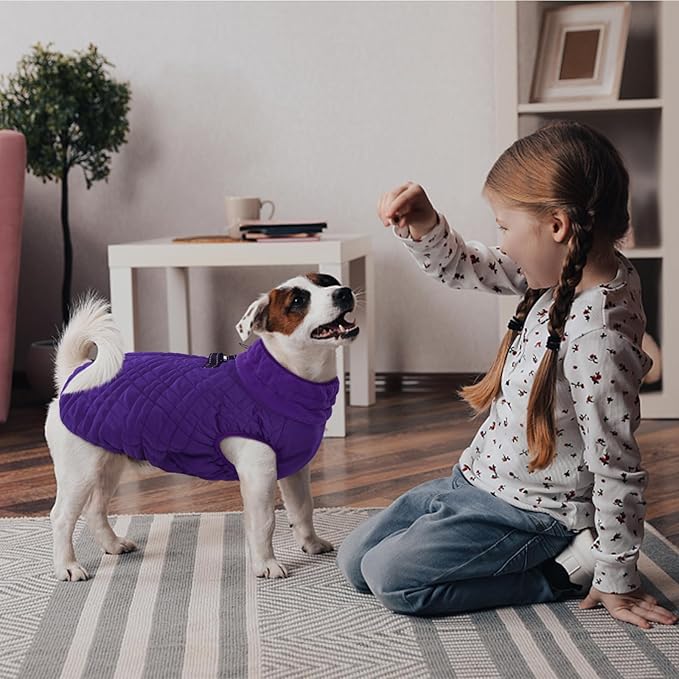 Kuoser Medium Dog Coat | All-Breed Thermal Wear with Windproof Layer | Reflective Tabs Enhance Visibility in Snow, Snap Buckles Simplify Dressing, Purple M