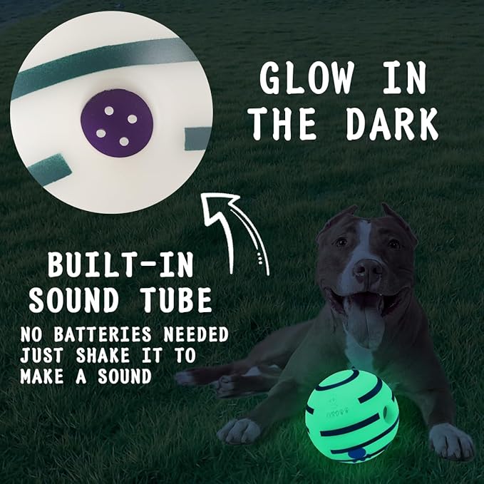 HYQ Glowing Small Dog Toys, Interactive Dog Toys Ball, Squeaky Dog Toys for Small Medium Large Dogs, Puppy Ball Dog Toys to Keep Them Busy (Glow Ball, 5.51 inch)