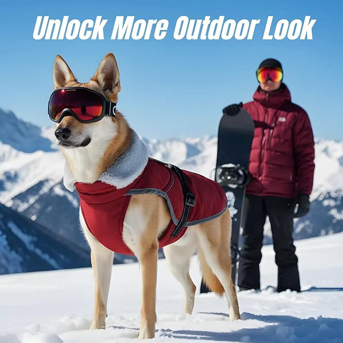 Insulated Outdoor Dog Winter Coat, Relaxed Fit Puppy Hard Shell Jacket with Full-Body Reflective Strips, Waterproof & Lightweight Coats for Tiny Small Dogs, Pet Jackets for Chihuahua Boy Girl(Wine,XS)