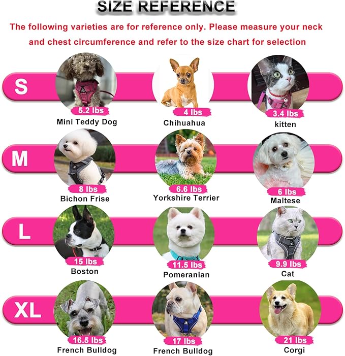 SOLMOONY Small Dog Harness,Soft Mesh Puppy Harness and Leash Set,No Escape Cat Harnesses for Training Walking,Reflective Adjustable Puppy Vest for Small Medium Dogs, Cats (Turquoise, S)