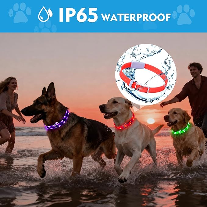 Lighted Dog Collar, Rechargeable Light Up Pet Collar, Waterproof LED Dog Collar Glow in The Dark, Make Pet Visible and Safety for Night Walking for Small Medium Large Dogs (Rainbow)