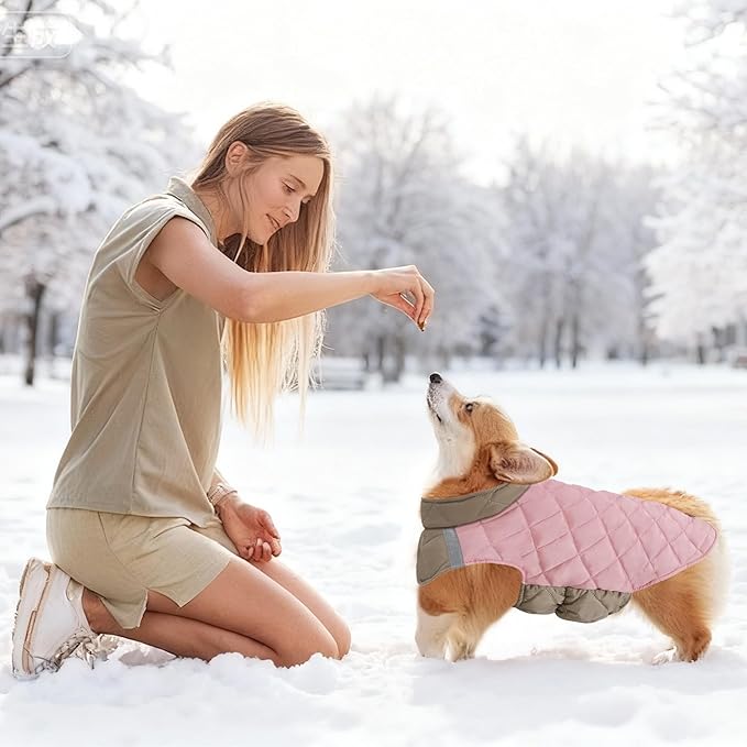 Quilted Dog Winter Coat, Plaid Lined Reversible Vest, Reflective Safety Strip, Cold Weather Pet Apparel Pink XS