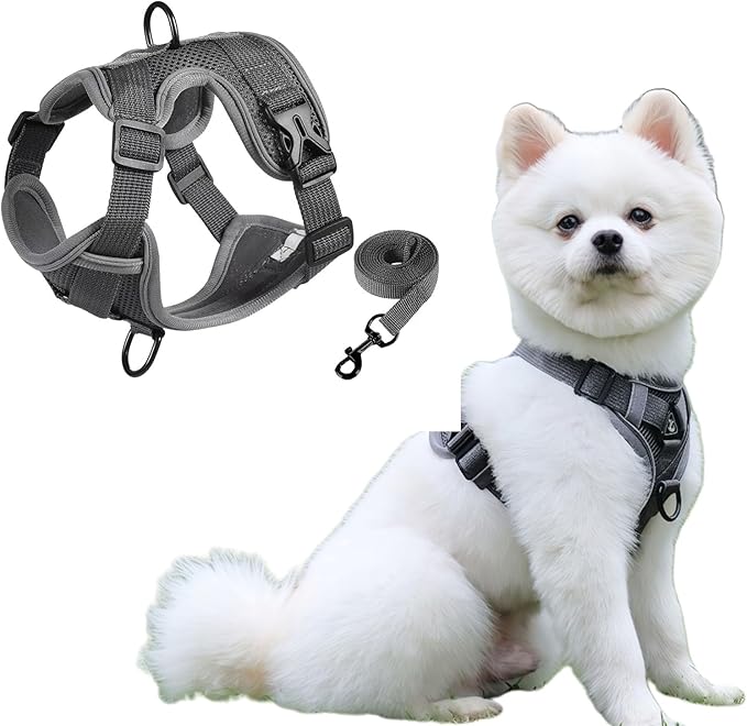 SOLMOONY Small Dog Harness,Soft Mesh Puppy Harness and Leash Set,No Escape Cat Harnesses for Training Walking,Reflective Adjustable Puppy Vest for Small Medium Dogs, Cats (Grey, XL)