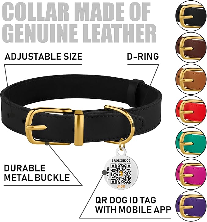 BRONZEDOG Leather Dog Collar with Metal Buckle Durable Basic Pet Collars for Small Medium Large Dogs (19-21 Inch (Pack of 1), Black & Gold Buckle)
