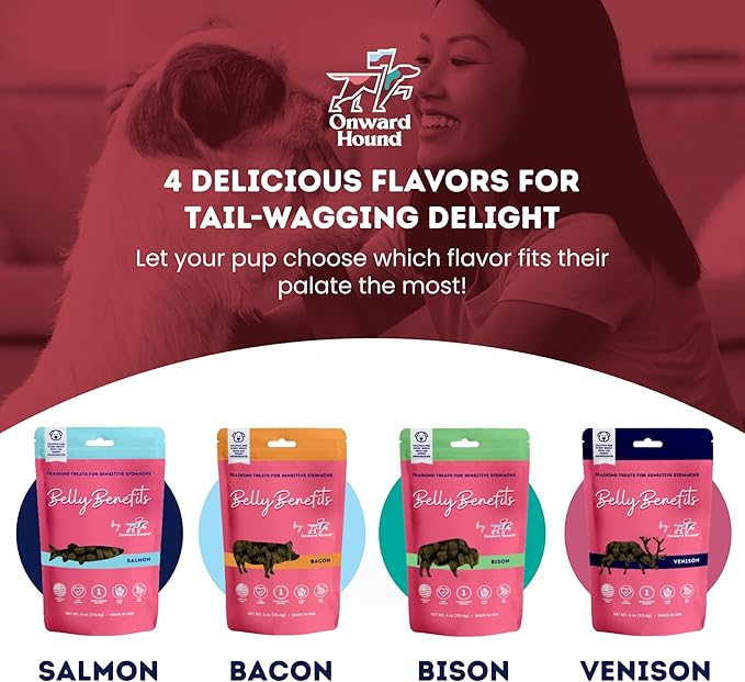 Onward Hound Training Treats for Dogs - Soft Bacon - Low Calorie Dog Training Treats for Sensitive Stomachs with Single Source Premium Protein, Corn Free, & Soy Free Formula - 10 oz