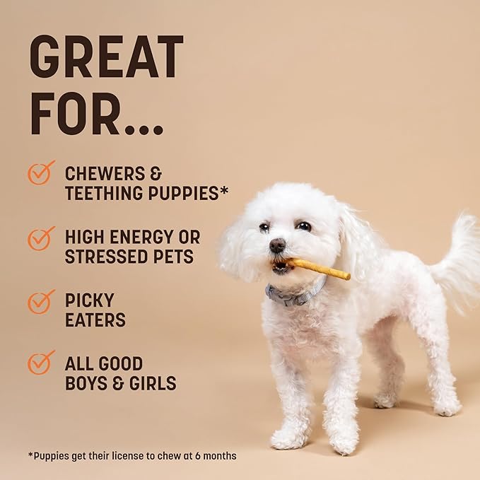 Earth Animal No Hide Stix - Long Lasting Rawhide Free Small Dog Chews Sticks, Pumpkin Spice - 20 Count Value Pack