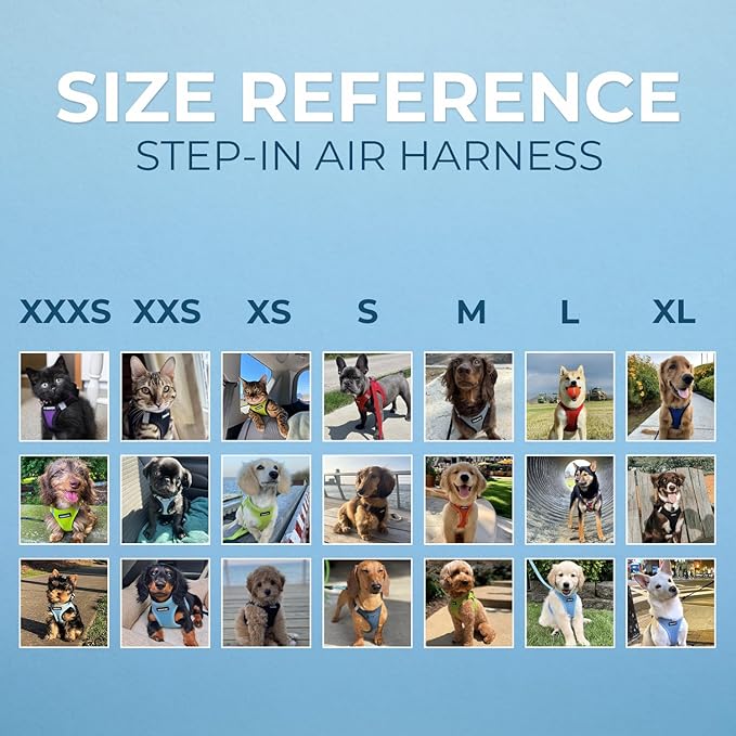Best Pet Supplies Voyager Step-in Air Harness - All Weather Mesh, Reflective, No Pull Harness for Dogs, Cats - Secure with Hook & Loop Fastener, Buckle, Double D-Rings - Red/Black Trim, L