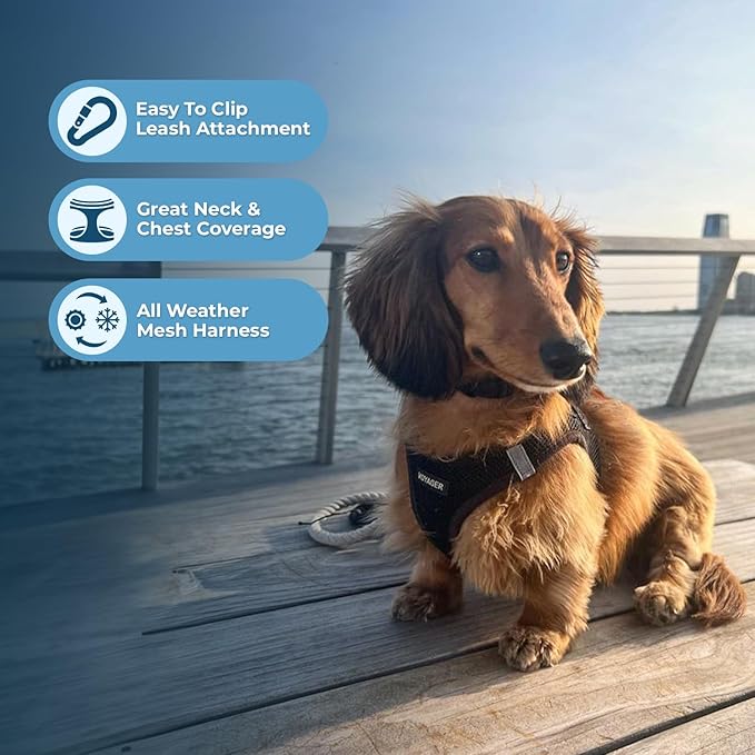 Voyager Step-In Air Dog Harness by Best Pet Supplies - All Weather Mesh Step in Vest Harness for Small and Medium Dogs, Black, size XL - Chest: 20.5 - 23"