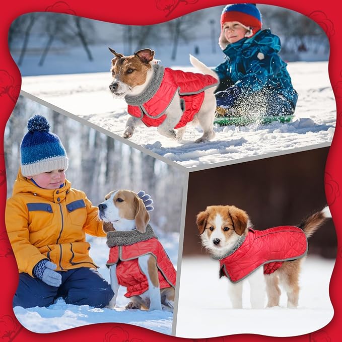 Fragralley Dog Winter Coat, Waterproof Windproof Reflective Fleece Jacket with Harness Hole, Warm Snow Vest for Small Medium Large Dogs, Ideal Gifts