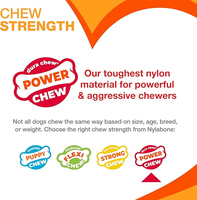 Nylabone Donut Power Chew Toy for Dogs, Dog Toys for Aggressive Chewers, Bacon Glazed Flavor, Medium Dogs - Up to 35 lbs, 1 Count