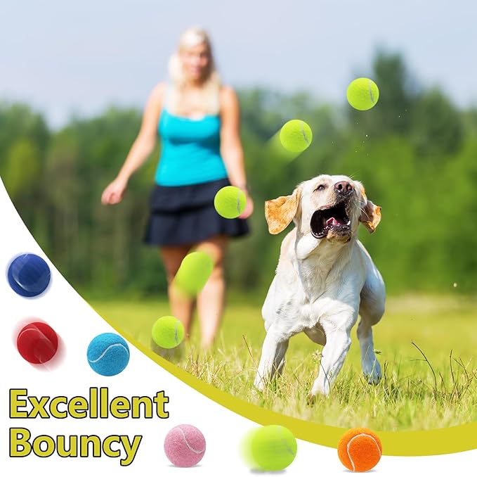 Swingers Squeaky Tennis Balls for Dog,2.5 inch Training Tennis Balls,Exercise Ball for Pet Dog with Mesh Carry Bag Easy to Transport (Multicolor, 24 Pack)