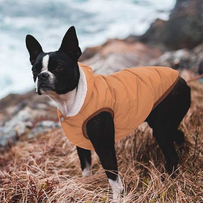 Fleece Hoodie, Windproof Waterproof Coat, Winter Warm Jacket, Cold Weather Pet Apparel Clothes Vest for Small Medium Large Dog Khaki, L