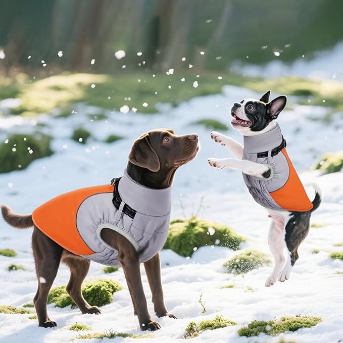 DENTRUN Dog Coat with Harness Built in, Cold Weather Dog Jacket Windproof Water-Repellent, Plush Turtle Neck Reflective Coat for Beagle, Orange, M