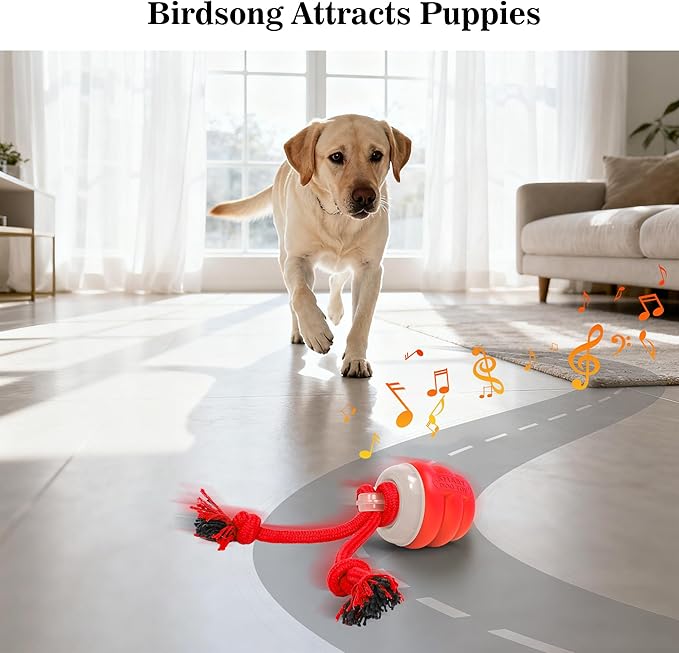 FUGODIWISmart Interactive Dog Toy Ball – Rechargeable Rolling Ball with Squeaky Sound, Automatic Play for Training & Boredom Relief, Fits Small, Medium & Large Dogs(Red)