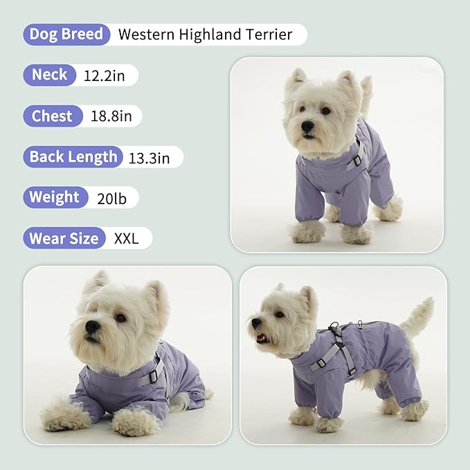 BRKURLEG Dog Raincoat for Small Dogs, Small Dog Rain Jacket with Harness Built in, Waterproof 4 Legs Puppy Raincoats, Puppy Outdoor Jacket with Reflective Strip, Purple, XXL