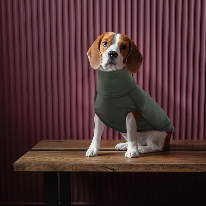 ROZKITCH Dog Winter Coat Soft Pullover Pajamas, Pet Windproof Warm Cold Weather Jacket Vest Cozy Jumpsuit Apparel Outfit Clothes for Walking Hiking Travel Sleep Green XL
