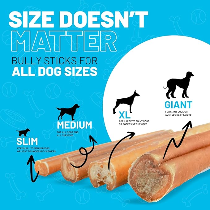 Sitka Farms Bully Sticks Regular 12 inch - 20 Count - All Natural Premium High Protein Long Lasting Dental Treats for Large Medium and Small Dogs - Rawhide Free Sticks for All Breeds