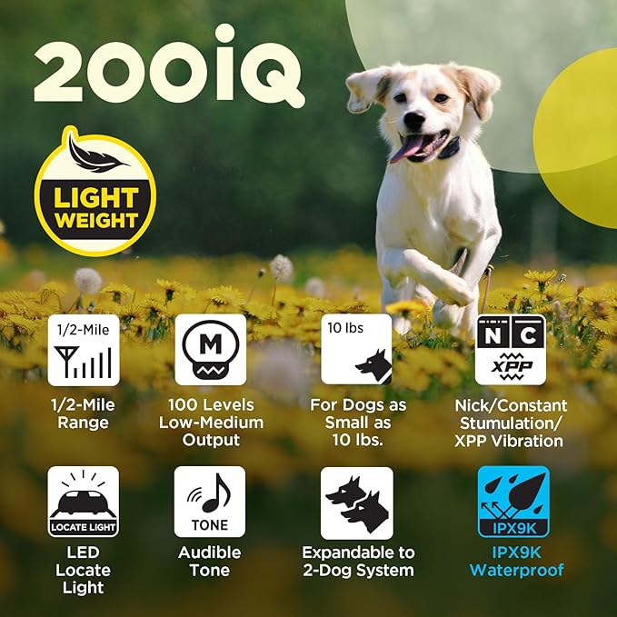 Dogtra 200iQ Remote Training E Collar – 100 Levels, Tone, Vibration, 1/2 Mile Range – Compact, Waterproof, One-Handed Control for Dogs 10 lbs+ – Lightweight Design for Daily Training – Black Leopard