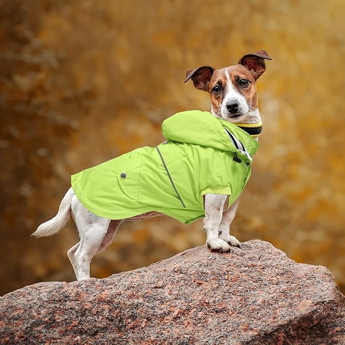 Dog Raincoat Waterproof Raincoats Dog rain Jacket Buttons Zipper Hood Drawstring Suitable for Small Medium Yorkie Terrier Schnauzer Poodle Border Collie Labrador 8lbs to 80lbs Green L