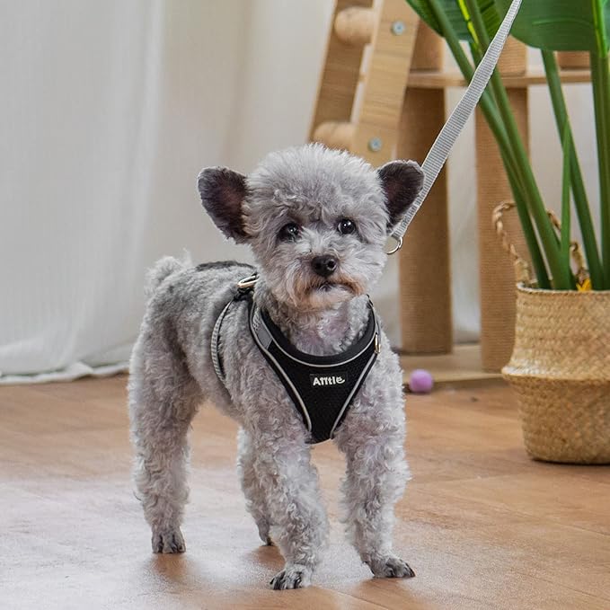 AIITLE Easy Walk Dog Harness and Leash Set - Pet Supply No Pull, Step in Adjustable Pet Harnesses with Padded Vest for Summer, No Choke Over, Easy to Put on Medium Dogs Black L
