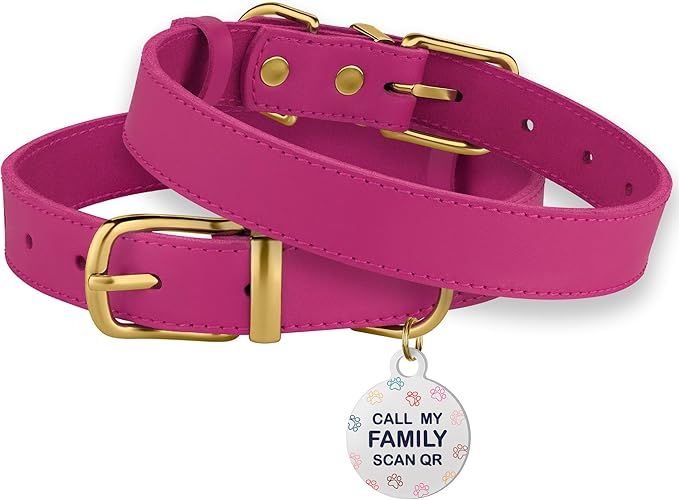 BRONZEDOG Leather Dog Collar with Metal Buckle Durable Basic Pet Collars for Small Medium Large Dogs (14-17 Inch (Pack of 1), Pink & Gold Buckle)