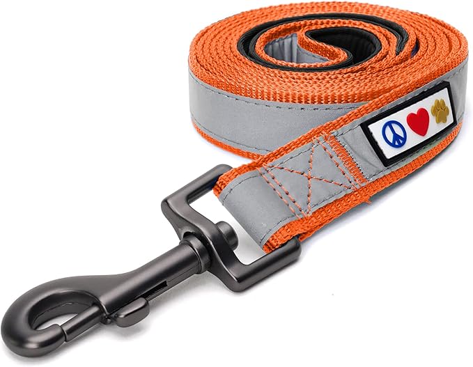Pawtitas 6 FT Padded Dog Leash with Comfortable Neoprene Padding Handle - Orange Lead | Medium Reflective Dog Leash with Highly Reflective Band Perfect for Medium and Large Dogs and Puppies.