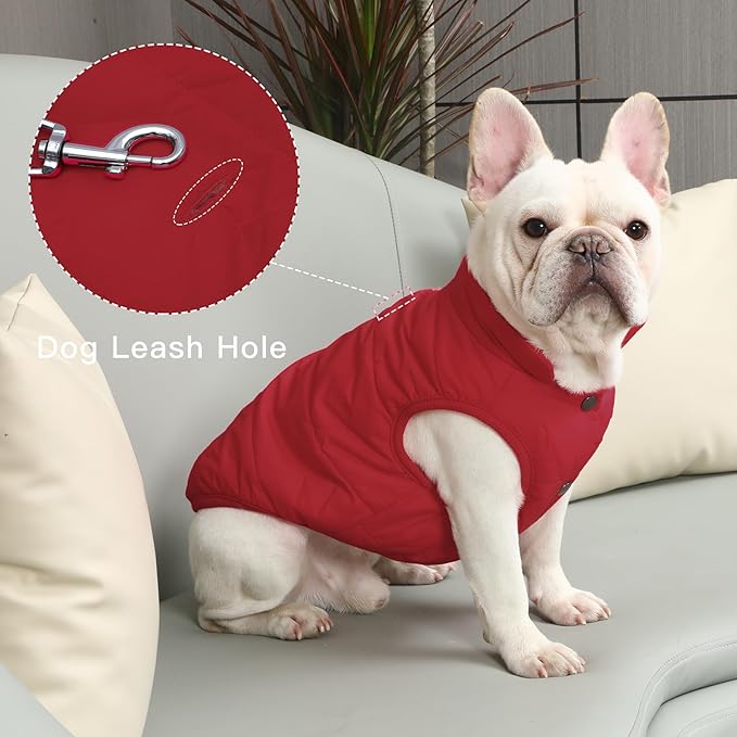 2 Layers Fleece Lined Warm Dog Jacket for Winter Cold Weather,Soft Windproof Medium Dog Coat,Red XL